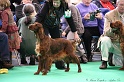 Crufts2011 244